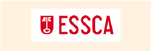 Asset 4